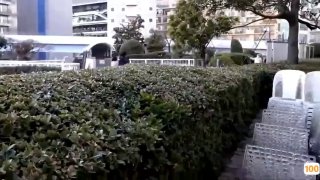 国产精品自拍一二三四,成人视频高清免费观看